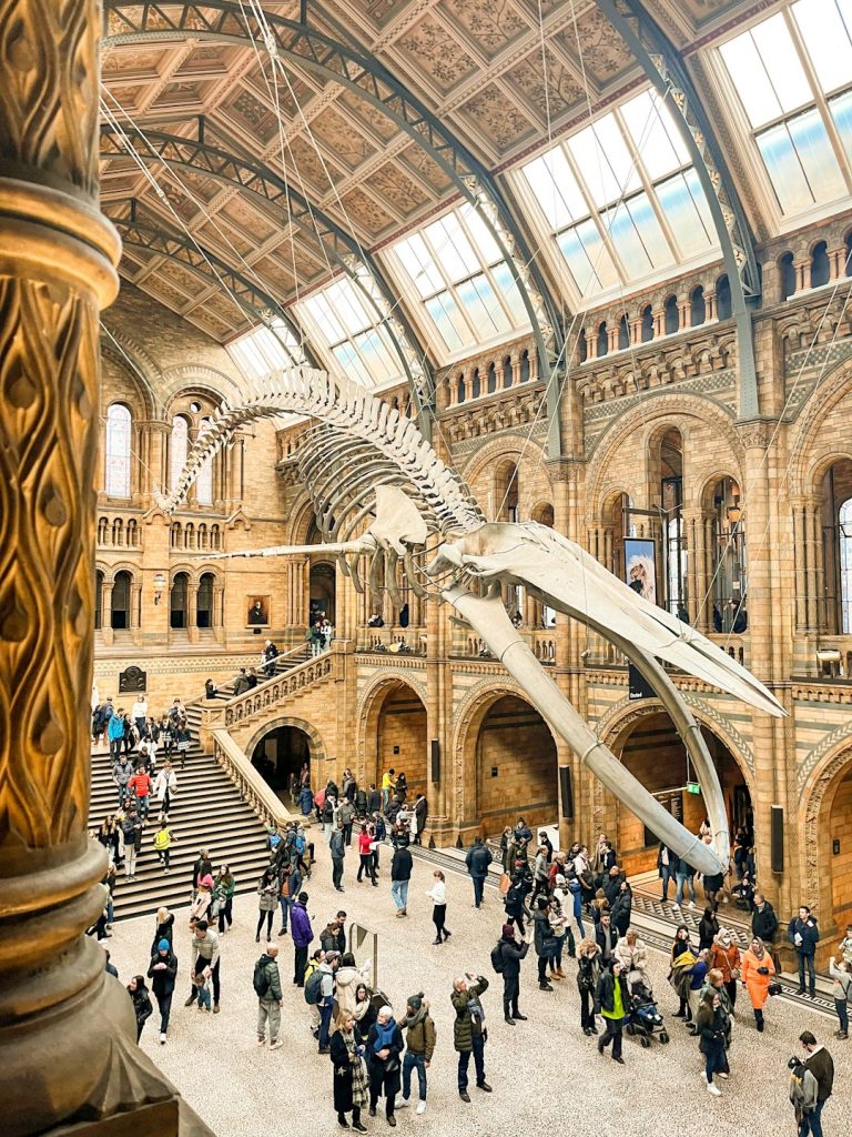 Natural History Museum, London